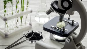 Cómo Funcionan los Microscopios Biológicos